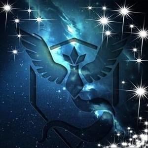 Meet your Posher, Susie